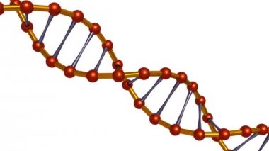 Beyaz arka plan üzerinde izole altın dna zincir stilize. Döngü sorunsuz döndürme.