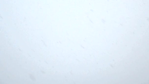 Падающий Снег Светлом Фоне — стоковое видео