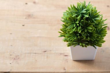 Kopyalama alanı bitki tencerede masa brown'ın üzerinde