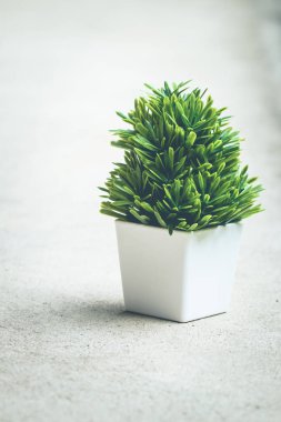 Küçük ağaç beyaz pot vintage sesi, dikey, kopya alanı