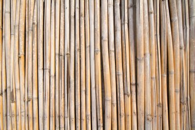 Bambu duvar kahverengi