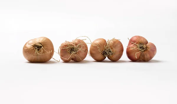 Organic Thai shallots isolated on a white background. — Stock Photo, Image