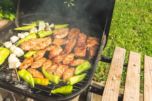 Parrilla Carne Fiesta Aire Libre Barbacoa Fin Semana Del Domingo —  Fotos de Stock