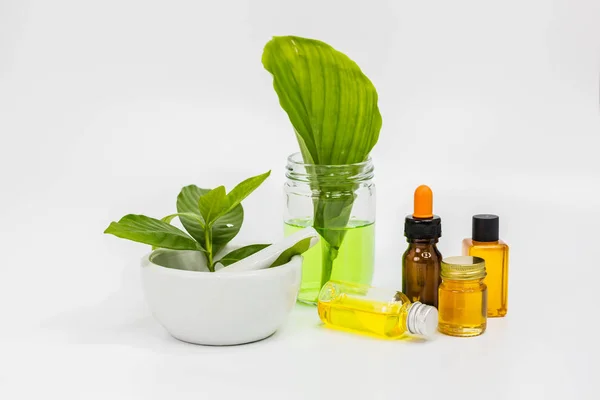 Växtbaserade naturliga ekologiska hud vård serum — Stockfoto