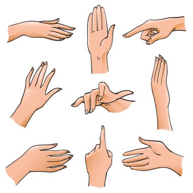 Elleri ve parmakları farklı pozisyonlar ve jestleri kümesi. Vücut parçası açıları dağıtılan palm, dur jest, dizin, açıklamalar, tasarım şemaları ve yönergeleri, izole vektör nesneleri için işaretçi