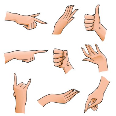 Set of Hands and Fingers in Different Positions and Gestures. Body Part angles deployed palm, fist, affirmative gesture for illustrations, design diagrams and instructions, isolated vector objects clipart