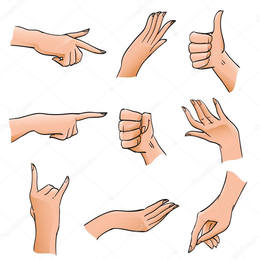 Set of Hands and Fingers in Different Positions and Gestures. Body Part angles deployed palm, fist, affirmative gesture for illustrations, design diagrams and instructions, isolated vector objects