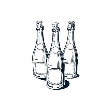 Three glass bottles of sparkling wine with a blank label. Champagne or cider. Festive alcoholic drink, Graphic image for logo, icon or menu. Hand drawn lines sketch, isolated vector