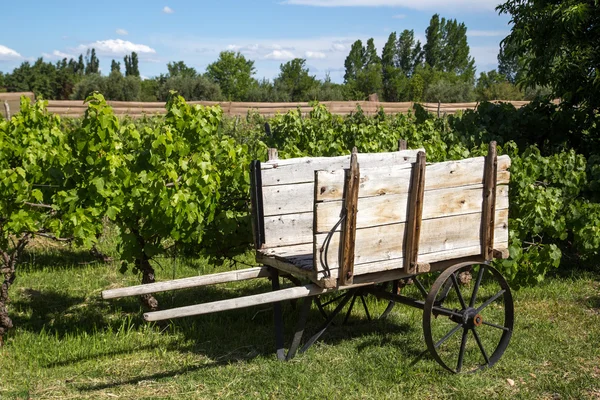 Chariot en bois sur un vignoble — Photo