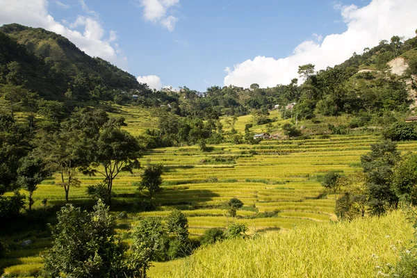 Dağ manzarası üzerinde Annapurna devre, Nepal