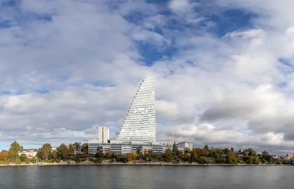 Basel Roche Kulesi ile panoramik manzaralı