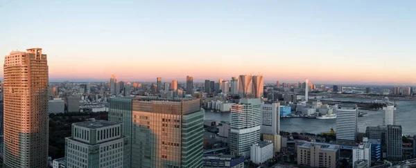 Tokyo skyline panoramisch uitzicht — Stockfoto