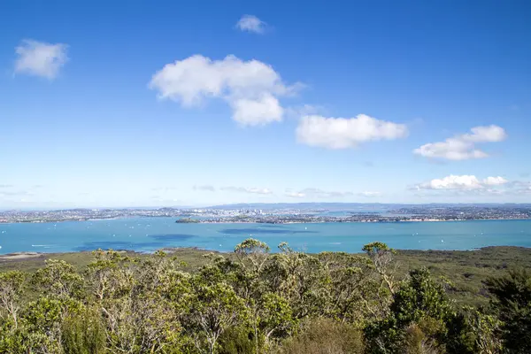 Panoramę miasta Auckland — Zdjęcie stockowe