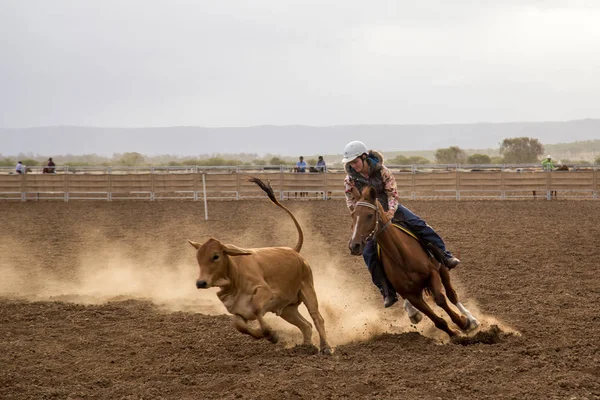 Avustralya Campdraft rekabet