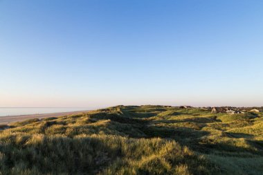 Kum tepeleri üzerinde çim
