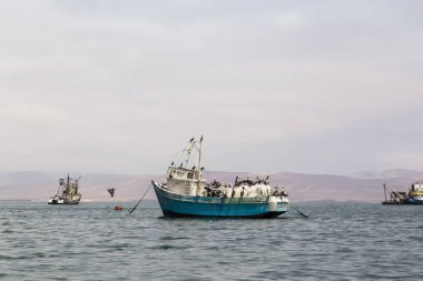 Paracas balıkçı tekneleri