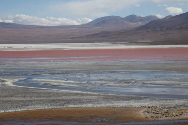 Bolivya 'da Laguna Colorada