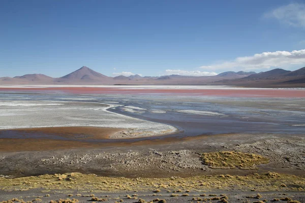 Laguna Colorada en la Bolivie — Photo