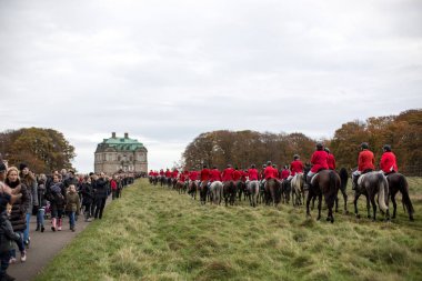 Hubtertus tilki AVI 2017