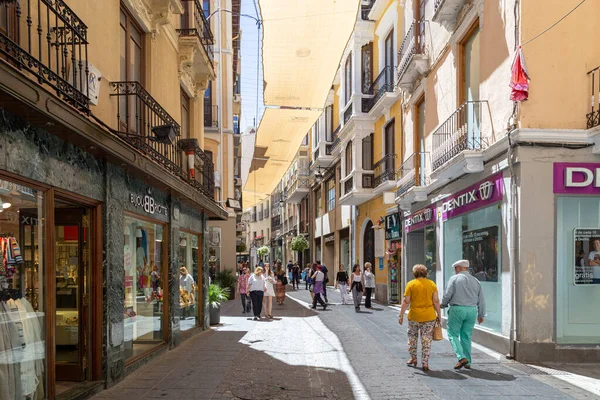 Charmiga gator i Granada, Spanien — Stockfoto