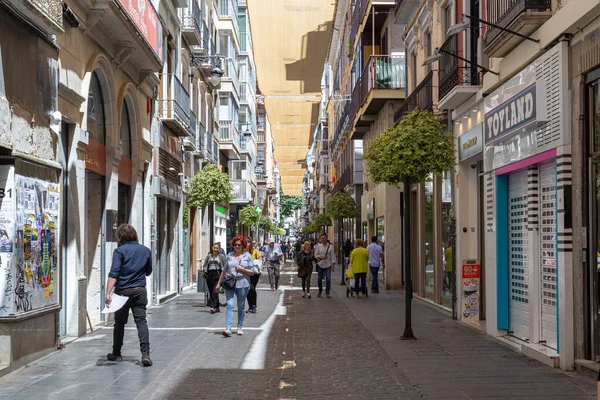 Charmiga gator i Granada, Spanien — Stockfoto