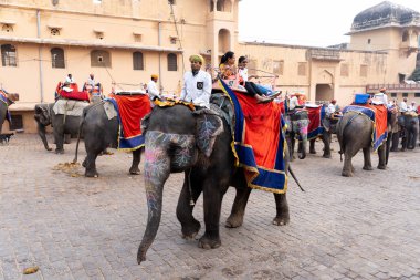 Jaipur, Hindistan 'daki Amber Kalesi' nde madalyalı filler.