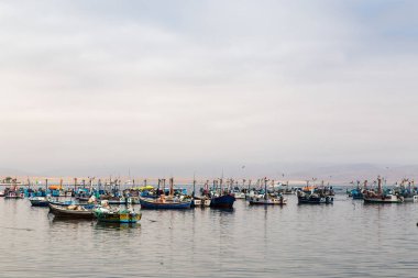 Paracas, Peru 'da balıkçı tekneleri