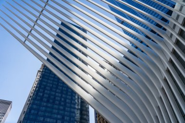 Wtc İstasyonu Oculus Çatı Yapısı