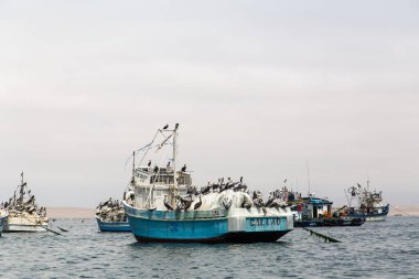 Paracas, Peru 'da balıkçı tekneleri