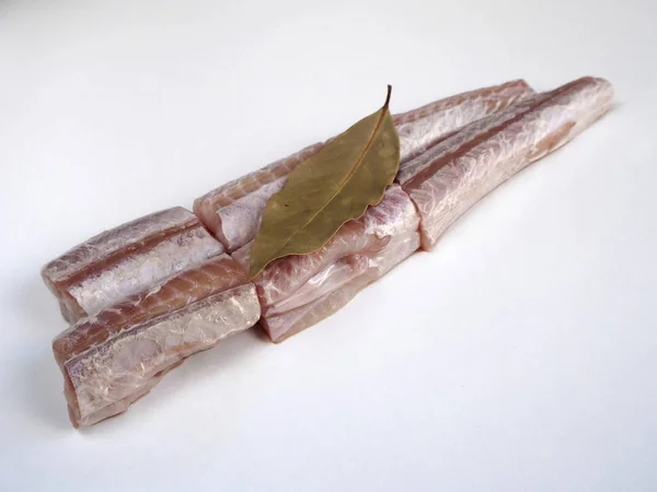 Dogfish mentah terisolasi — Stok Foto