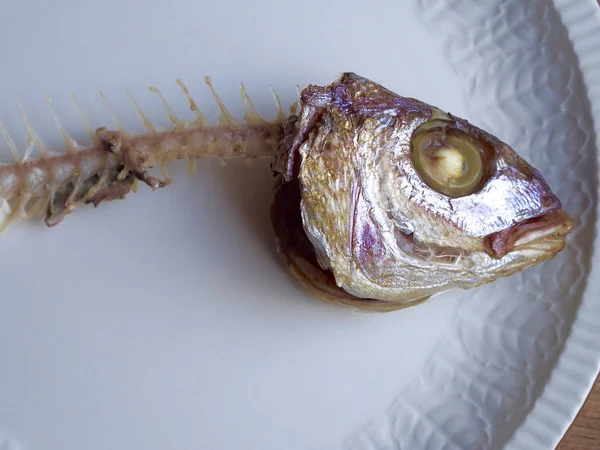 Lisca di pesce in un bel piatto, concetto di miseria — Foto Stock