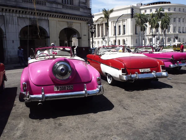 Vintage otomobillerde turistik: Havana — Stok fotoğraf