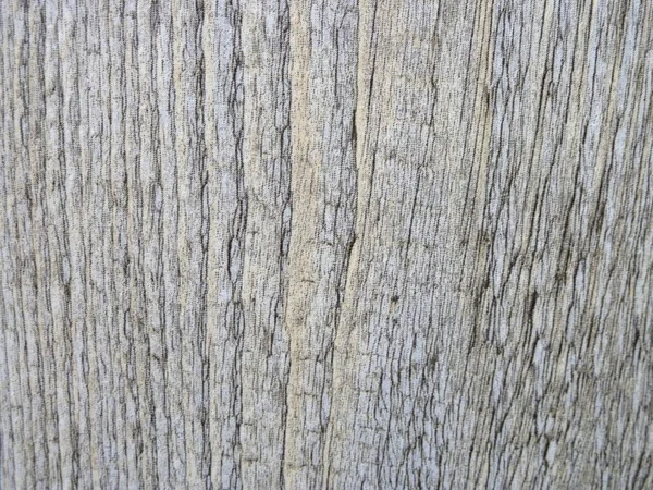 Primo piano della trama del legno — Foto Stock