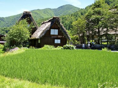 Shirakawago evde