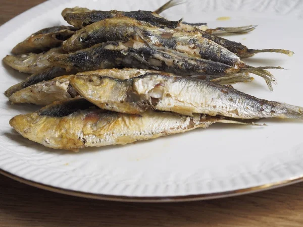Fried small sardine on a plate — Stock Photo, Image