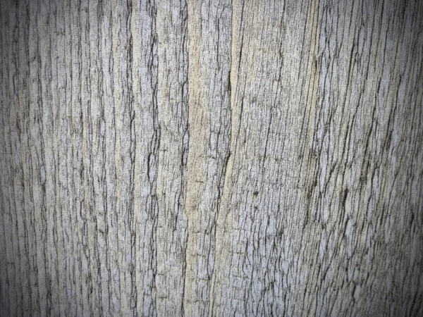 Popředí texturu dřeva — Stock fotografie