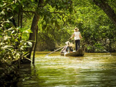 Mekong Deltası'nda bir tekne turist 