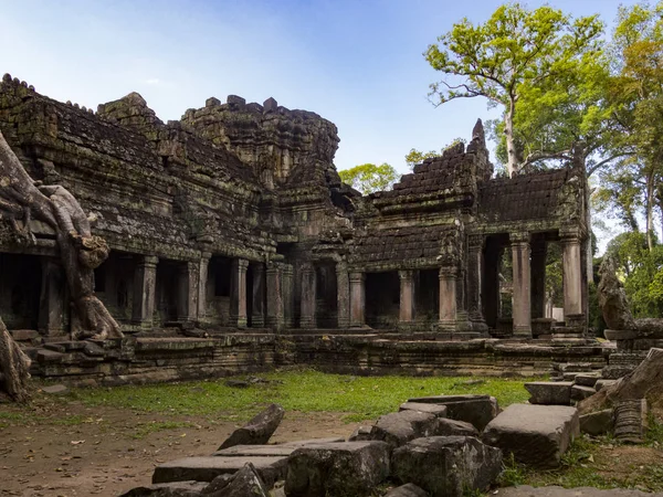 Ta Prohm-templet i Siem Reap, Kambodja — Stockfoto