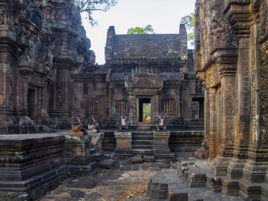 Banteay Srei tapınakta Siem biçmek Kamboçya