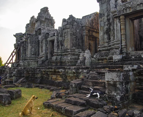 Phnom Bok templet i Kambodja — Stockfoto
