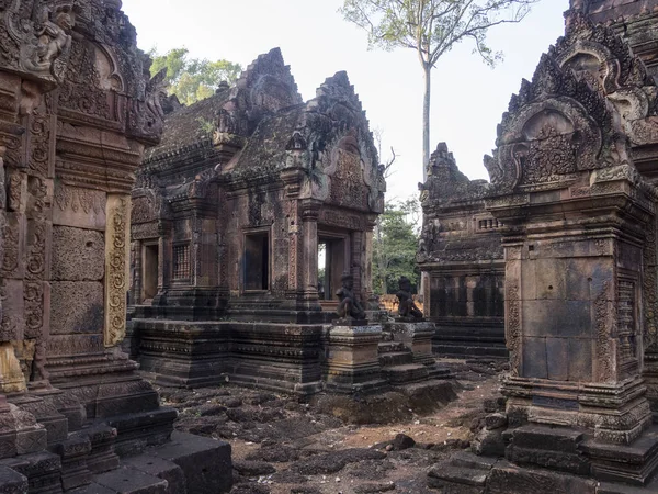 Banteay Srei templet i Siem Reap Cambodia — Stockfoto