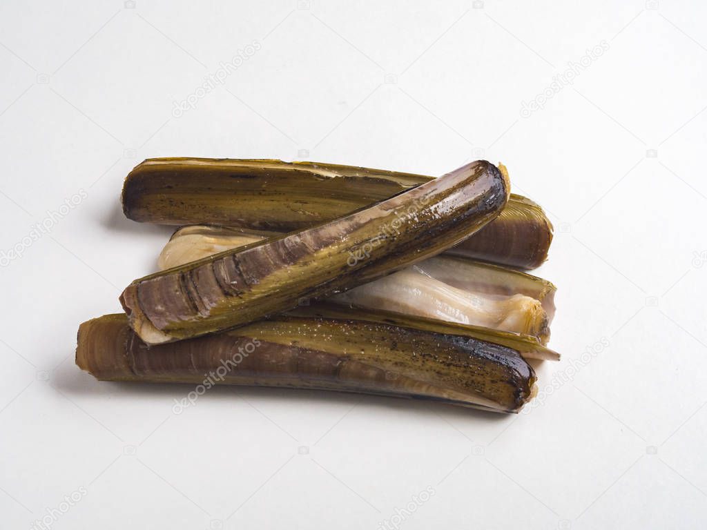 Raw razor clams