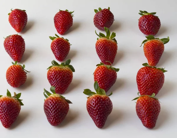 Modèle de fraises — Photo