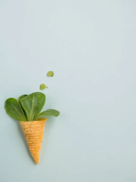 Maïs kegels met groene bladeren met kopie ruimte — Stockfoto