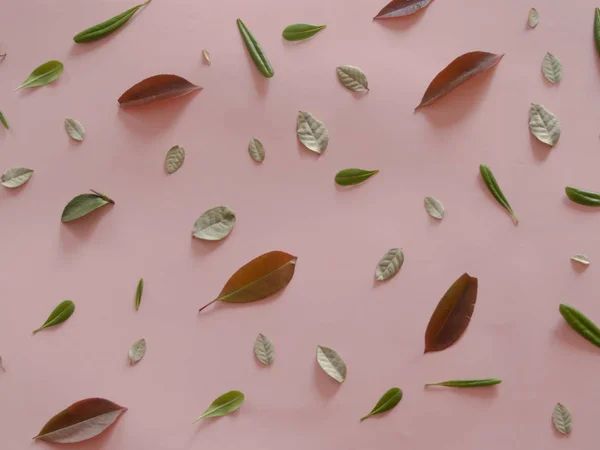 ピンクの背景に葉模様 — ストック写真