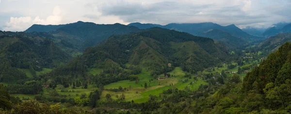 Vista panoramica sulla Valle di Cocora in Colombia — Foto Stock