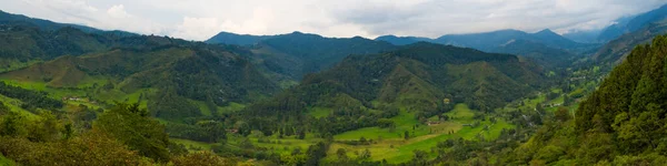 Vista panoramica sulla Valle di Cocora in Colombia — Foto Stock
