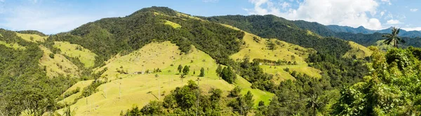 Vista panoramica sulla Valle di Cocora in Colombia — Foto Stock