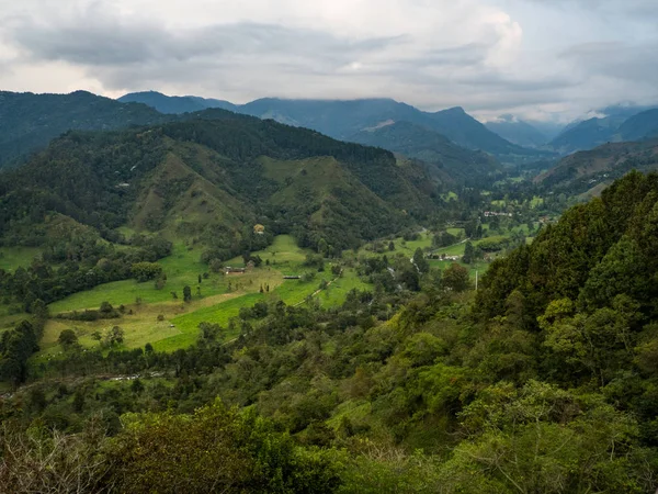 Cocora Valley itt: Kolumbia — Stock Fotó