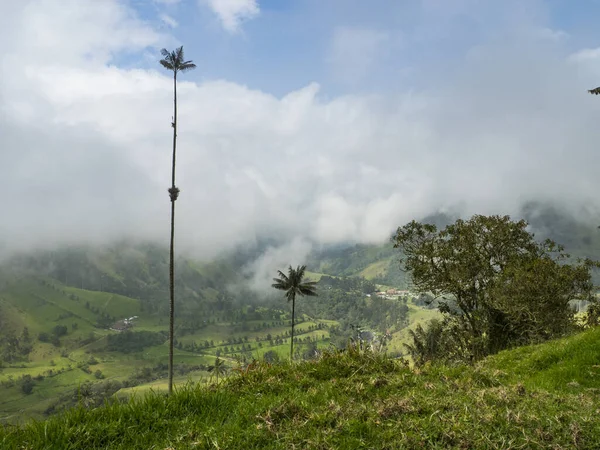 Valle del Cocora paisaje en Colombia — Foto de Stock